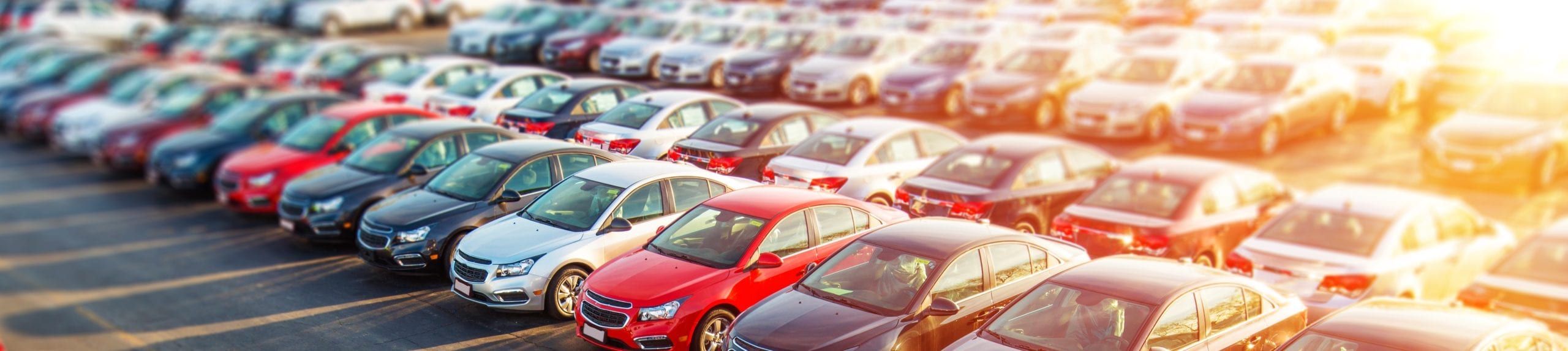 cars in a lot 